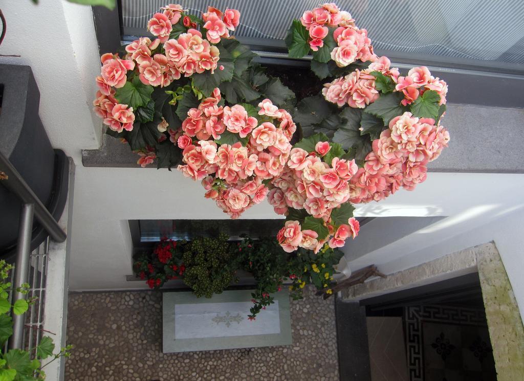 Brancadoria B&B Monteleone Rocca Doria Exterior photo